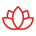 XBody Roter Umriss einer Lotusblüte mit drei Blütenblättern auf hellgrauem Hintergrund.
